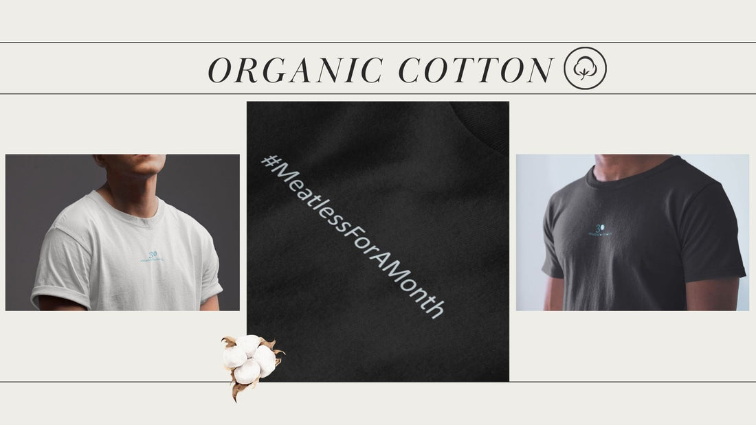 A collection of organic cotton T-shirts from Vegetizer, showcasing soft, eco-friendly, and sustainable designs in a variety of colors and styles