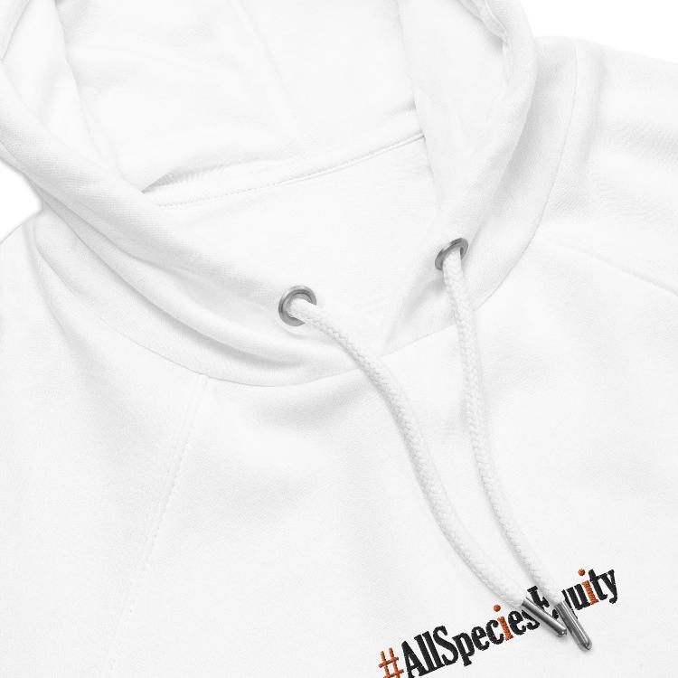 Eco-friendly unisex raglan hoodie with #AllSpeciesEquity and unity symbols