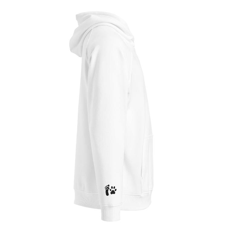 Eco-friendly unisex raglan hoodie with #AllSpeciesEquity and unity symbols